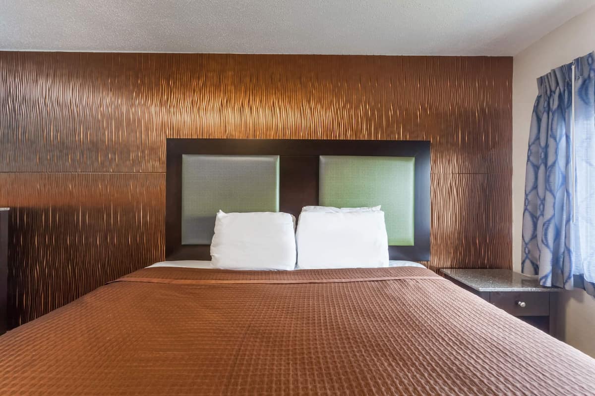 Room, 1 King Bed, Smoking | Desk, blackout drapes, iron/ironing board, free WiFi