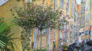 A courtyard with a tree, potted plants, and a mural of buildings. - Hotel am Westend (Lahr)