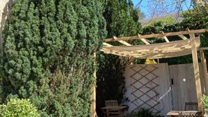 A courtyard with a large evergreen tree, wooden chairs, and a pergola structure. - Le Voltaire Chambres et Table d'Hotes (Airvault)