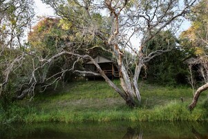 Una cabaña rústica rodeada de árboles frondosos y una masa de agua.