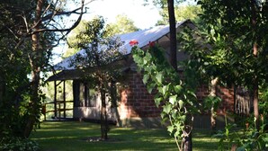 A brick building with a covered porch and a garden with green foliage and a red flower.