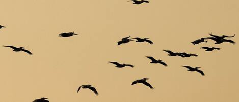 Voorkant van accommodatie