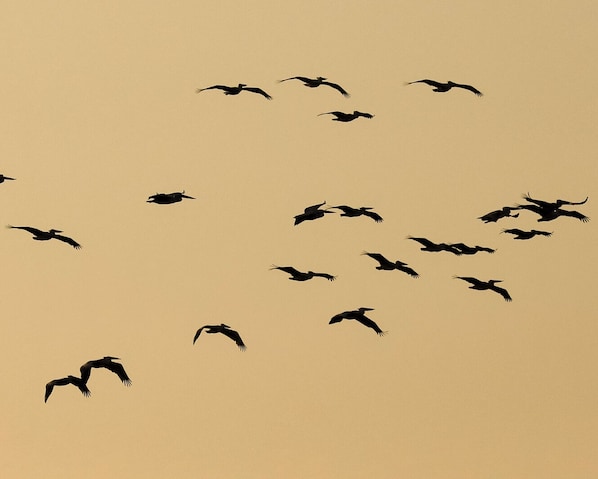 Majoituspaikan julkisivu