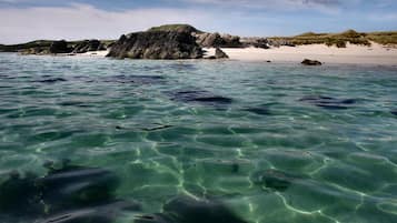 Beach nearby, white sand