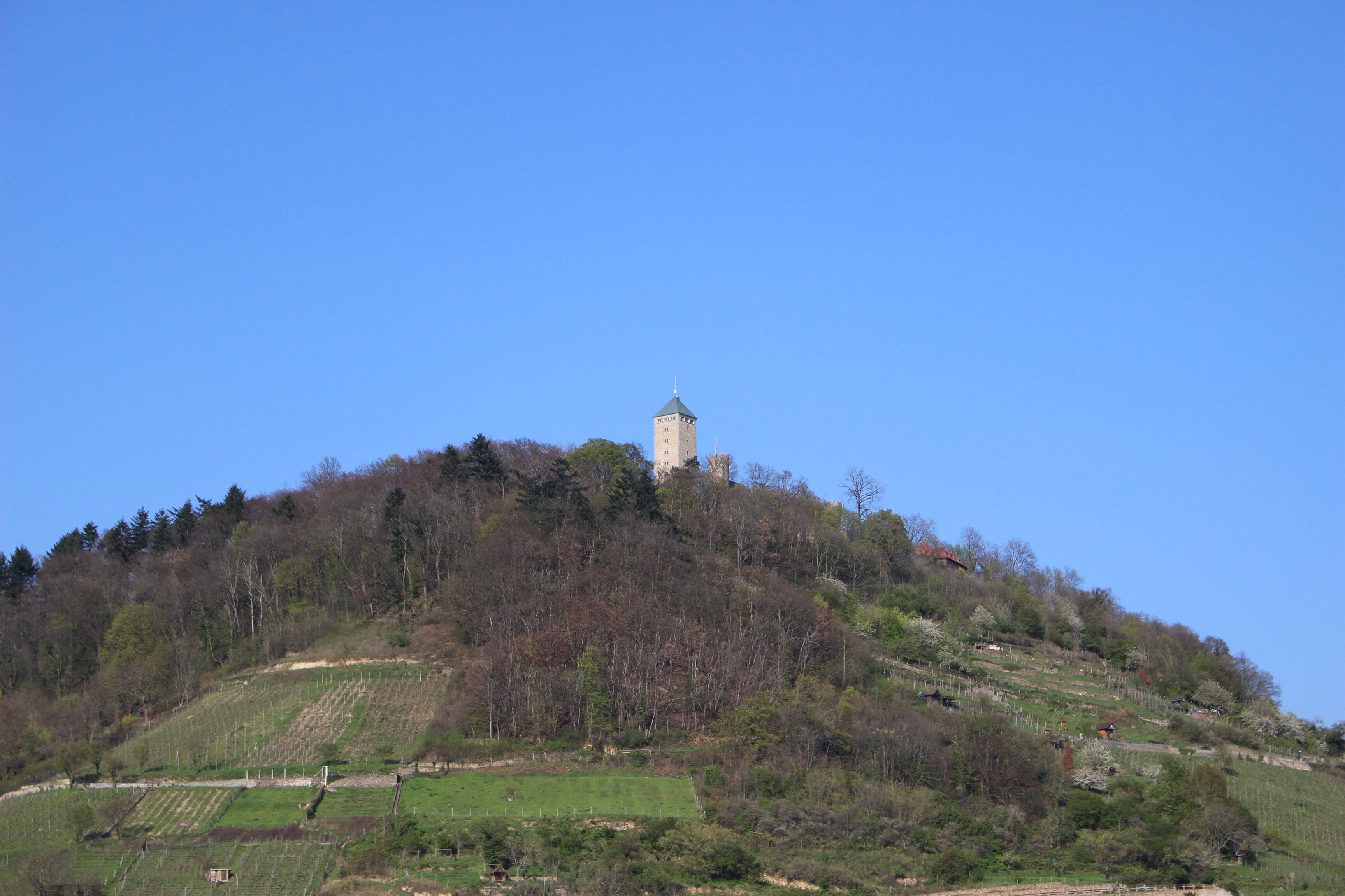 A tower on a hill with surrounding greenery and fields.