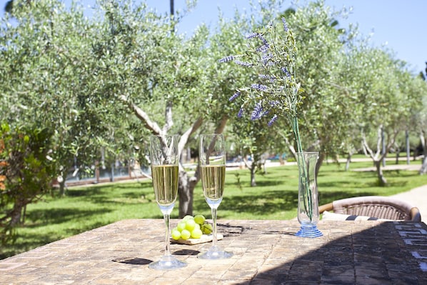 A table with two glasses of wine, a vase with flowers, and a bowl of grapes.