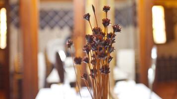 A blurred indoor setting with a focus on a tall, slender plant in the foreground.