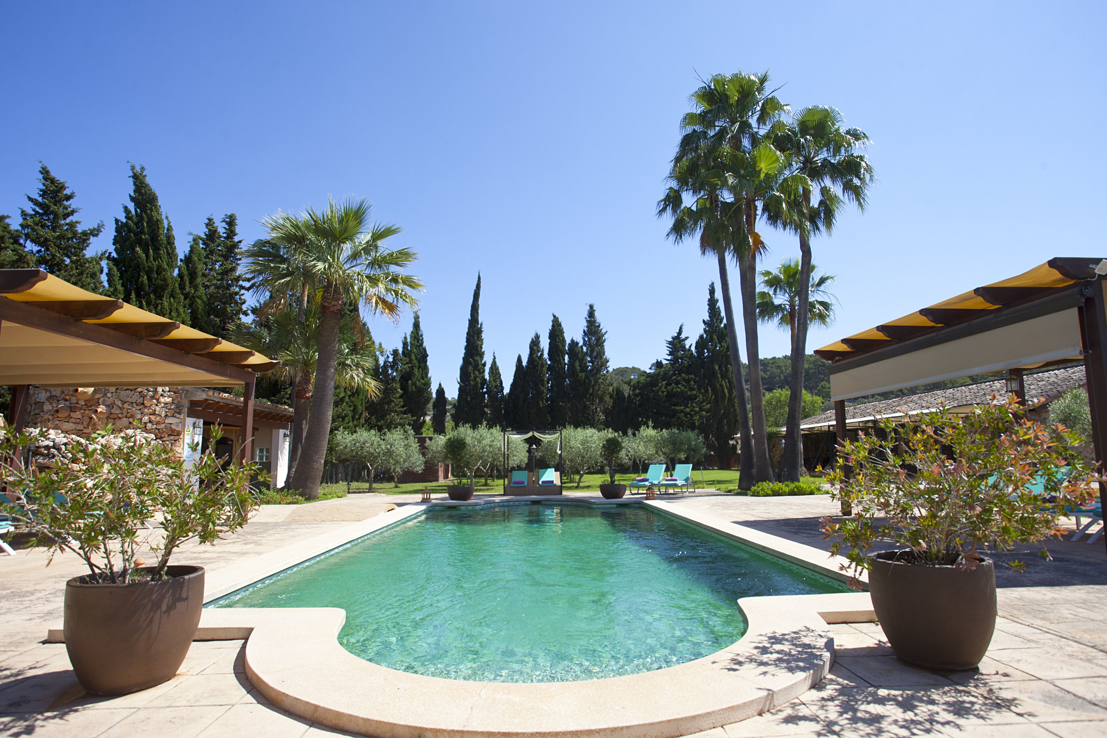 Outdoor pool, pool umbrellas, sun loungers