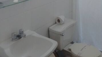 A bathroom with a sink, toilet, and shower curtain.