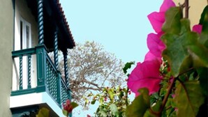A building with a balcony, a tree, and pink flowers. - Hostal The Place Miraflores (Lima)