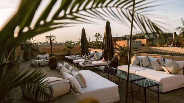 A rooftop lounge area with sun loungers, a sofa, and a table, surrounded by potted plants and palm fronds.
