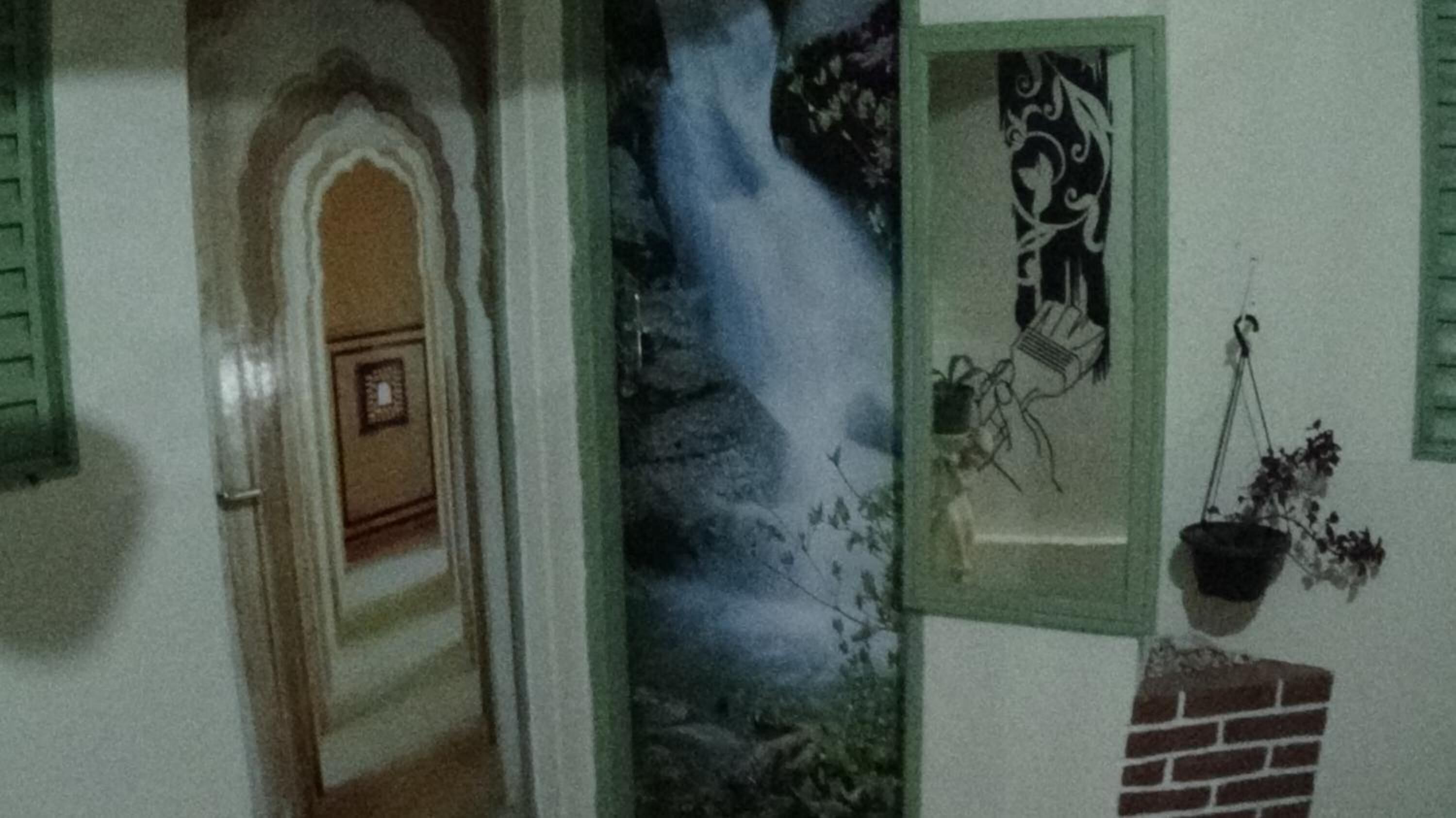 Une pièce avec une porte donnant sur un couloir, une fresque représentant une cascade et une plante suspendue.