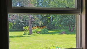 A window with a view of a well-maintained garden with trees, shrubs, and a lawn.