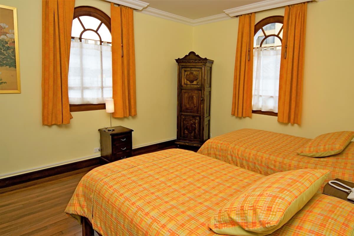 Standard Twin Room, Fireplace