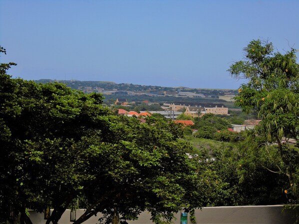 Vista dalla struttura