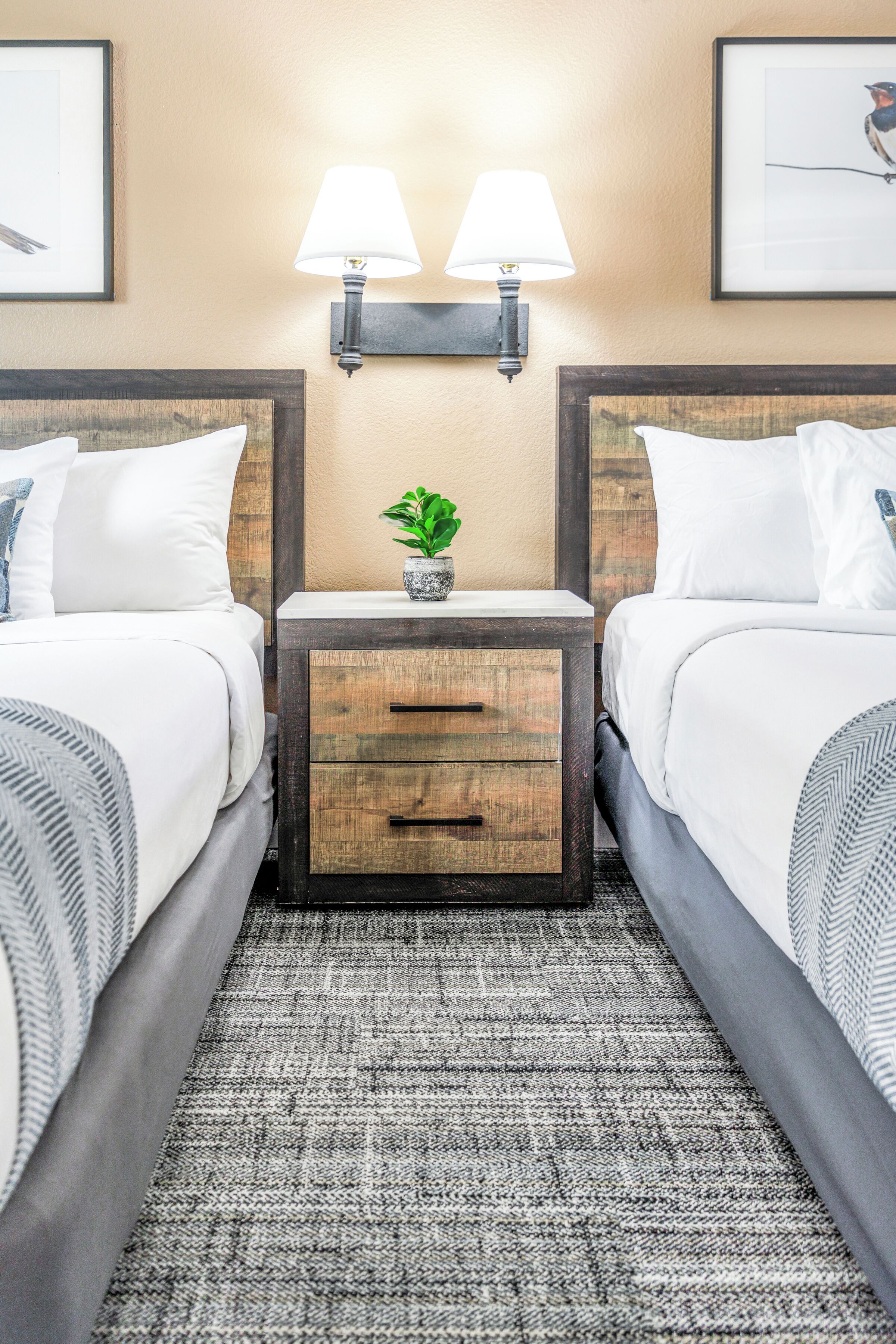 A hotel room with two beds, a nightstand with a lamp, a small plant, and framed pictures on the wall.