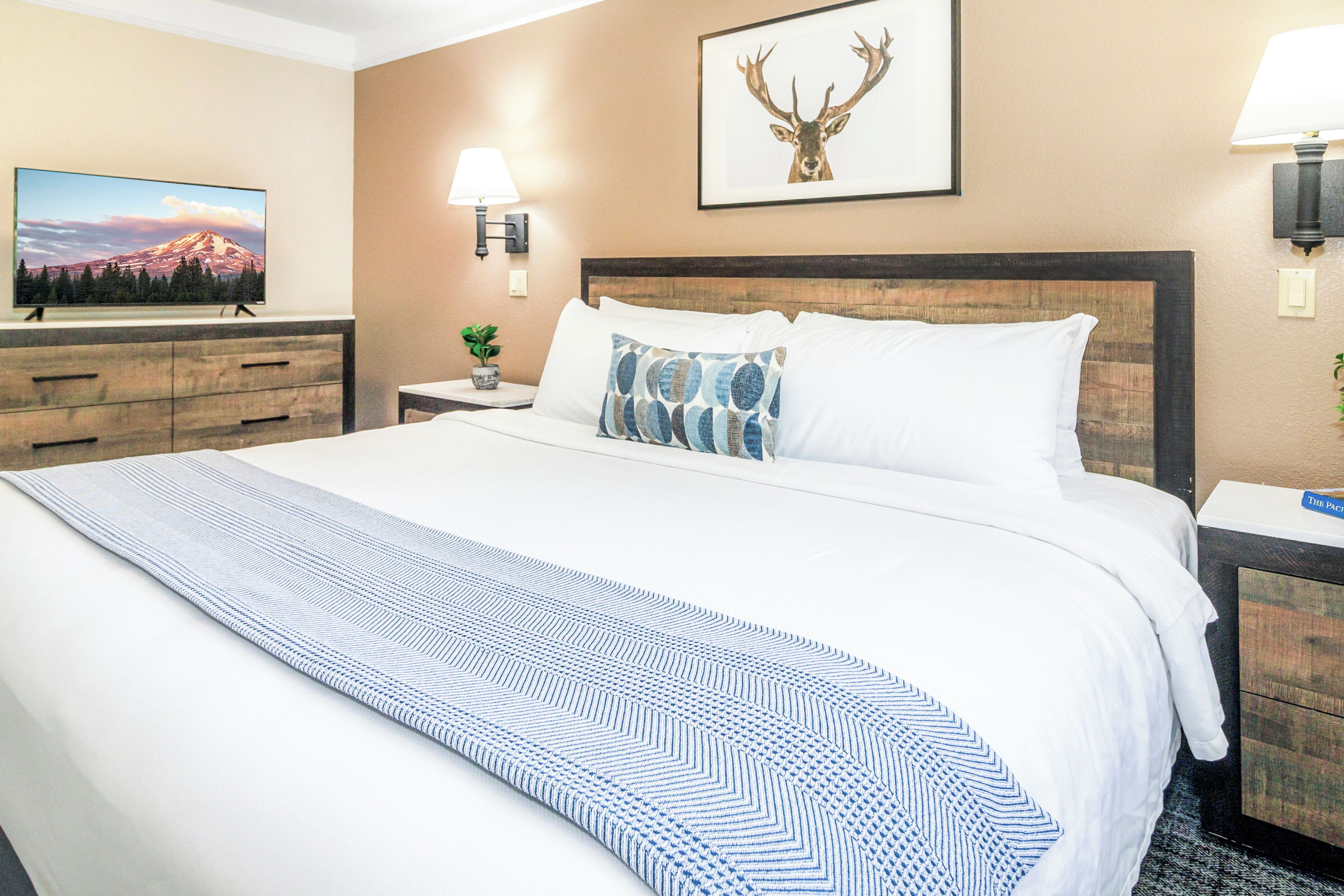 A hotel room with a large bed, a TV on a dresser, a lamp, and a framed picture of a deer on the wall.