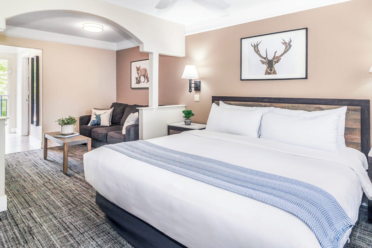 A hotel room with a large bed, a sofa, a small table with a plant, and a wall-mounted lamp.