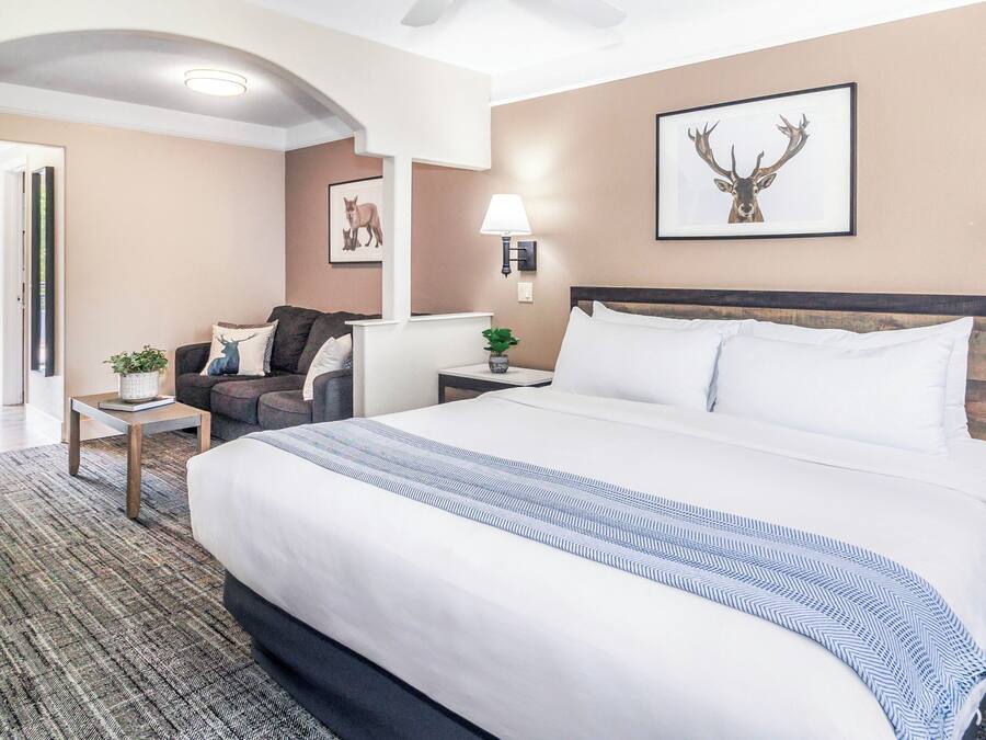 Premium bedding, desk, free WiFi, bed sheets
