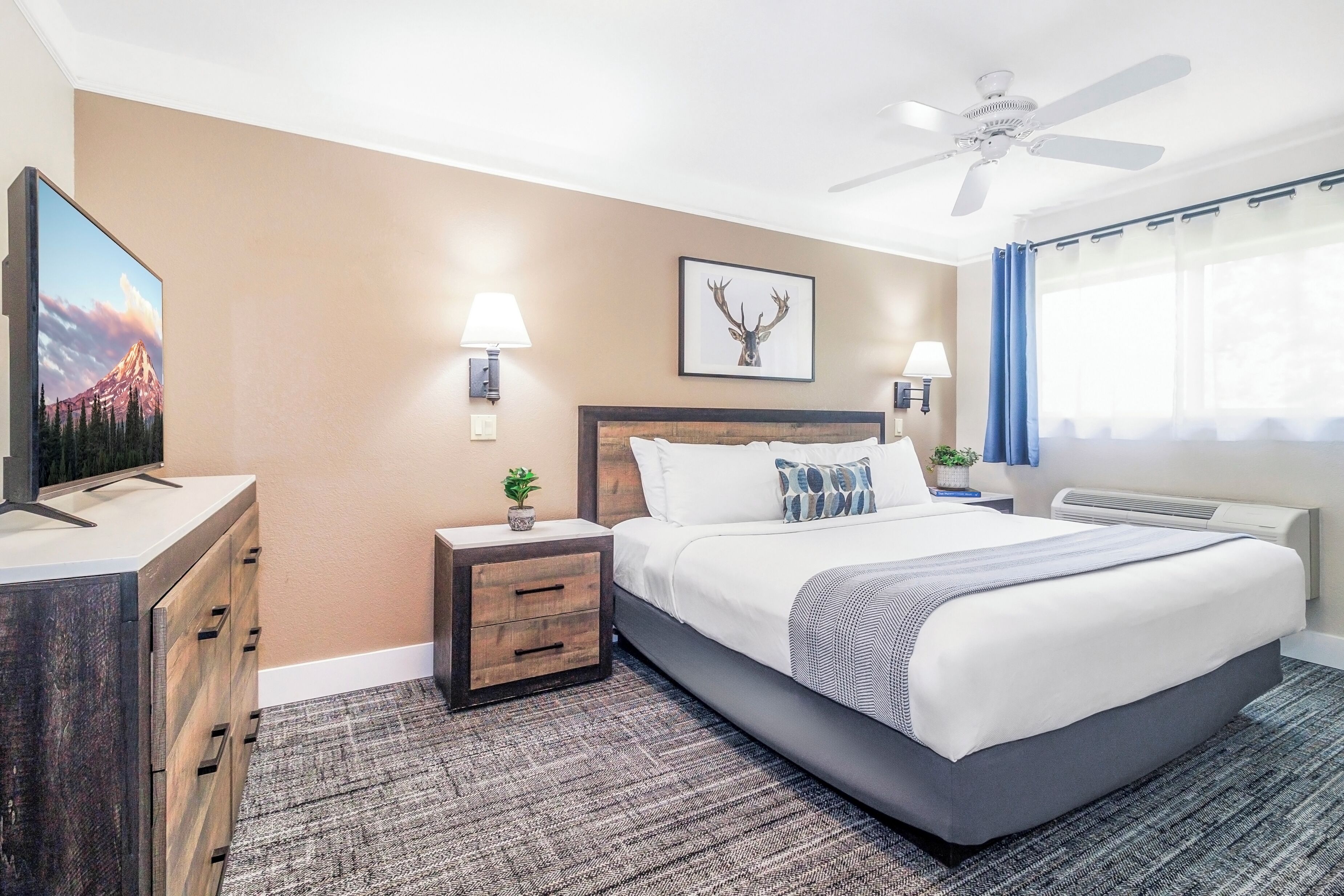 A hotel room with a bed, a TV, a ceiling fan, and a wall-mounted lamp.