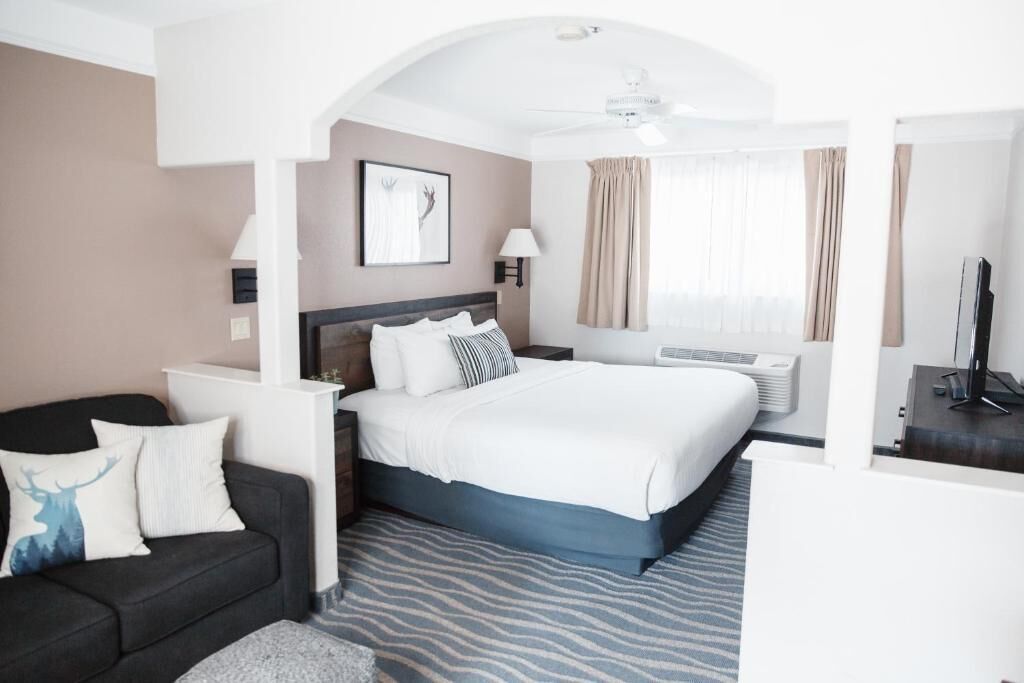 A hotel room with a bed, a sofa, a TV, a lamp, and a window with curtains.