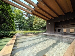 Hot springs - TATESHINA LAKE RESORT (Tateshina)