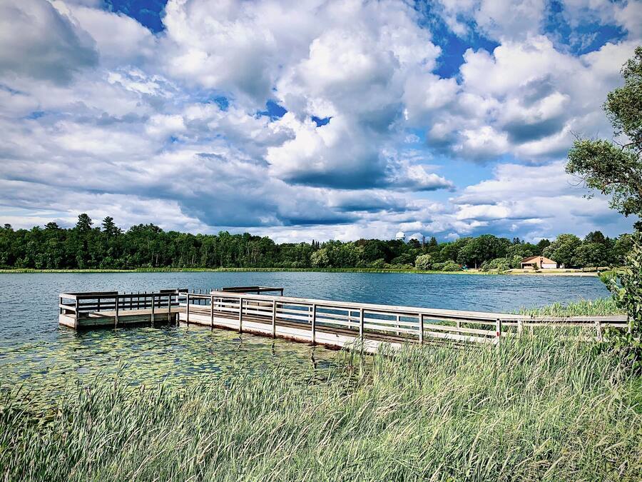 Un muelle de madera que se adentra en un lago rodeado de abundante vegetación y un cielo nublado.