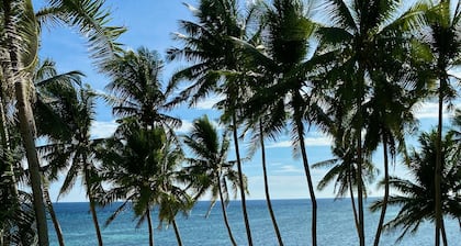 Anda White Beach Resort