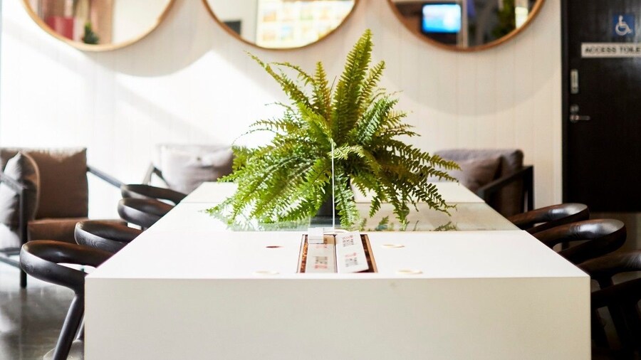 Wake Up! Sydney - Hostel