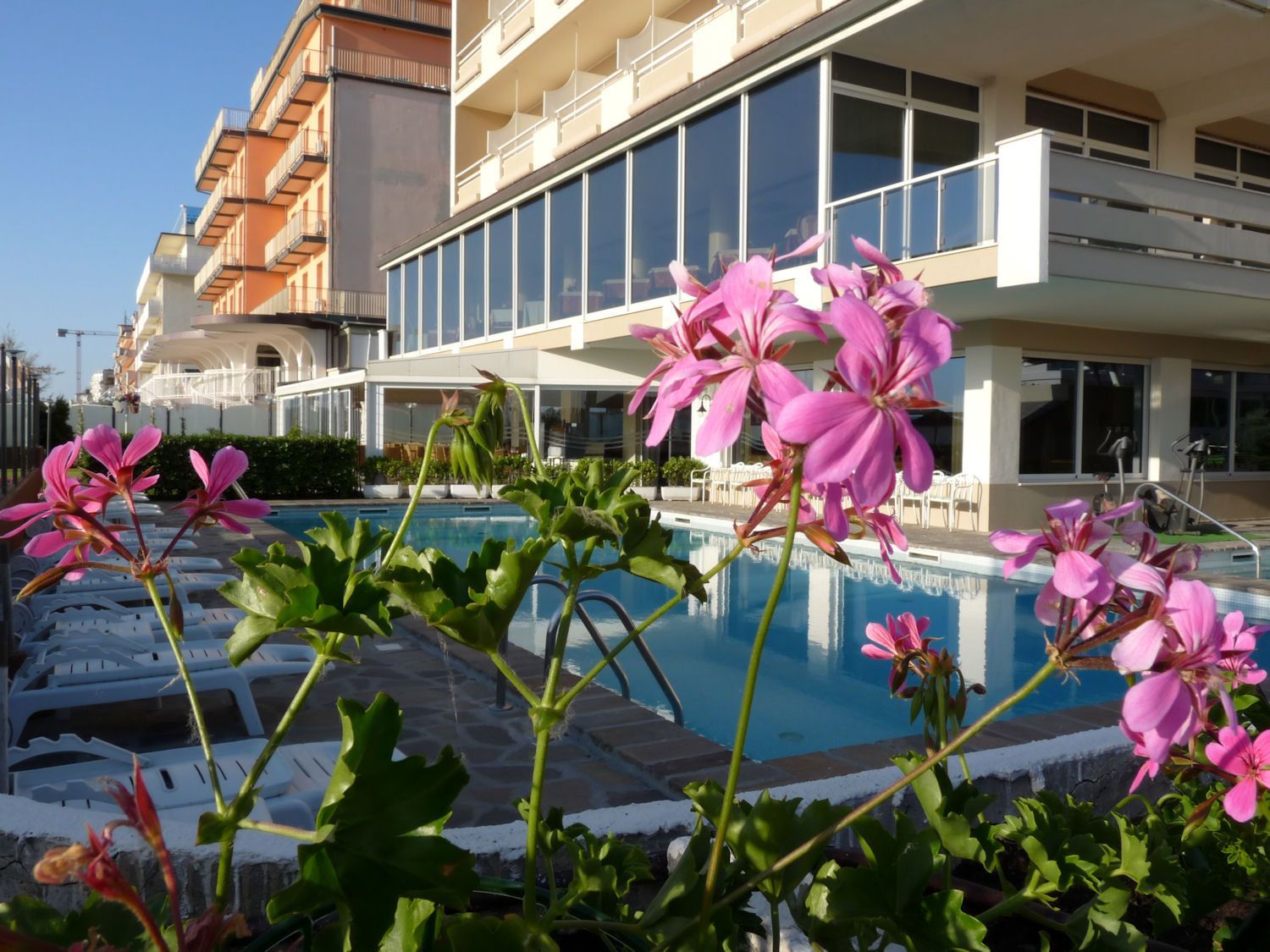 outdoor pool, pool loungers
