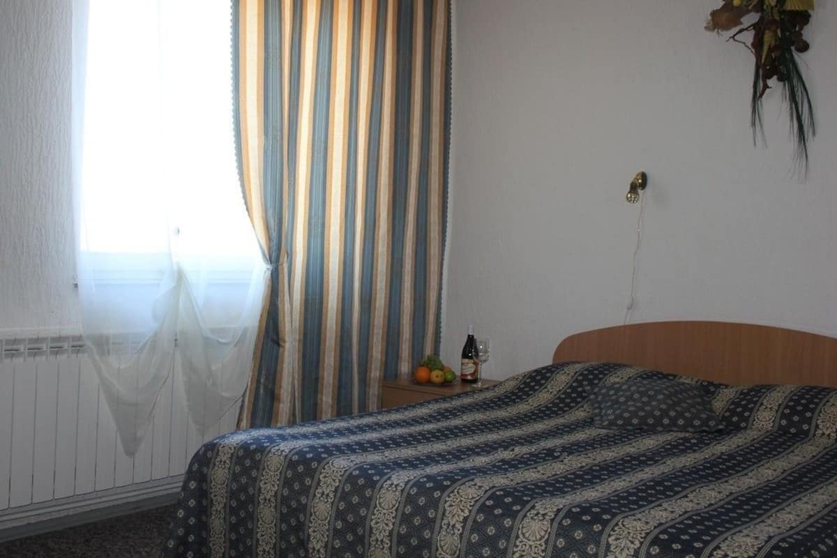 Standard Double Room | 1 bedroom, premium bedding, desk, iron/ironing board