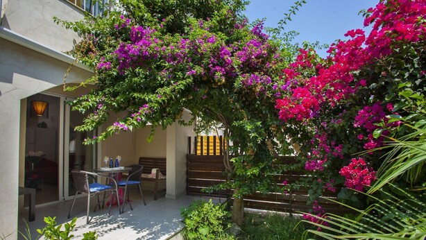 Suite, 1 soverom (Olimpus Gardens 11) | Terrasse/patio