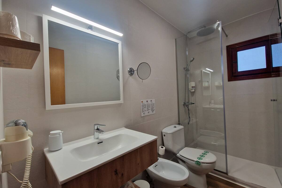 shower, hair dryer, bidet, towels