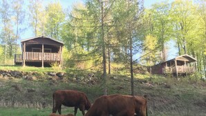 A rustic cabin with a wooden deck, surrounded by a grassy field and trees. - Ullstorps Stugor (Hoor)