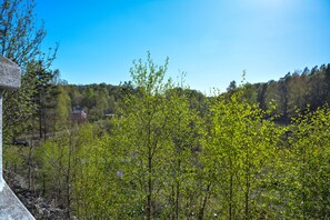 Basic Villa, 2 Bedrooms,Terrace,Valley View (final cleaning, bed sheets and towels are not included) | View from room