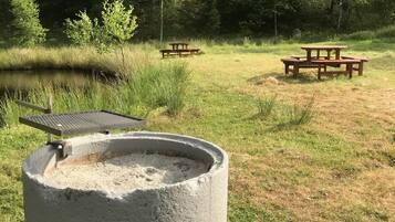 En gjuten eldstad med ett metallgaller, omgiven av gräsområden och två träpicknickbord, placerad i en naturlig miljö.
