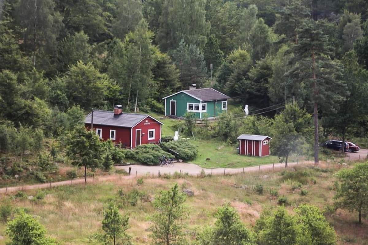 A rural setting with three houses surrounded by dense forest.
