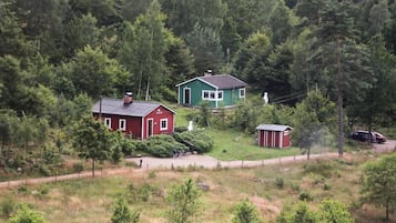 A rural setting with three houses surrounded by dense forest.