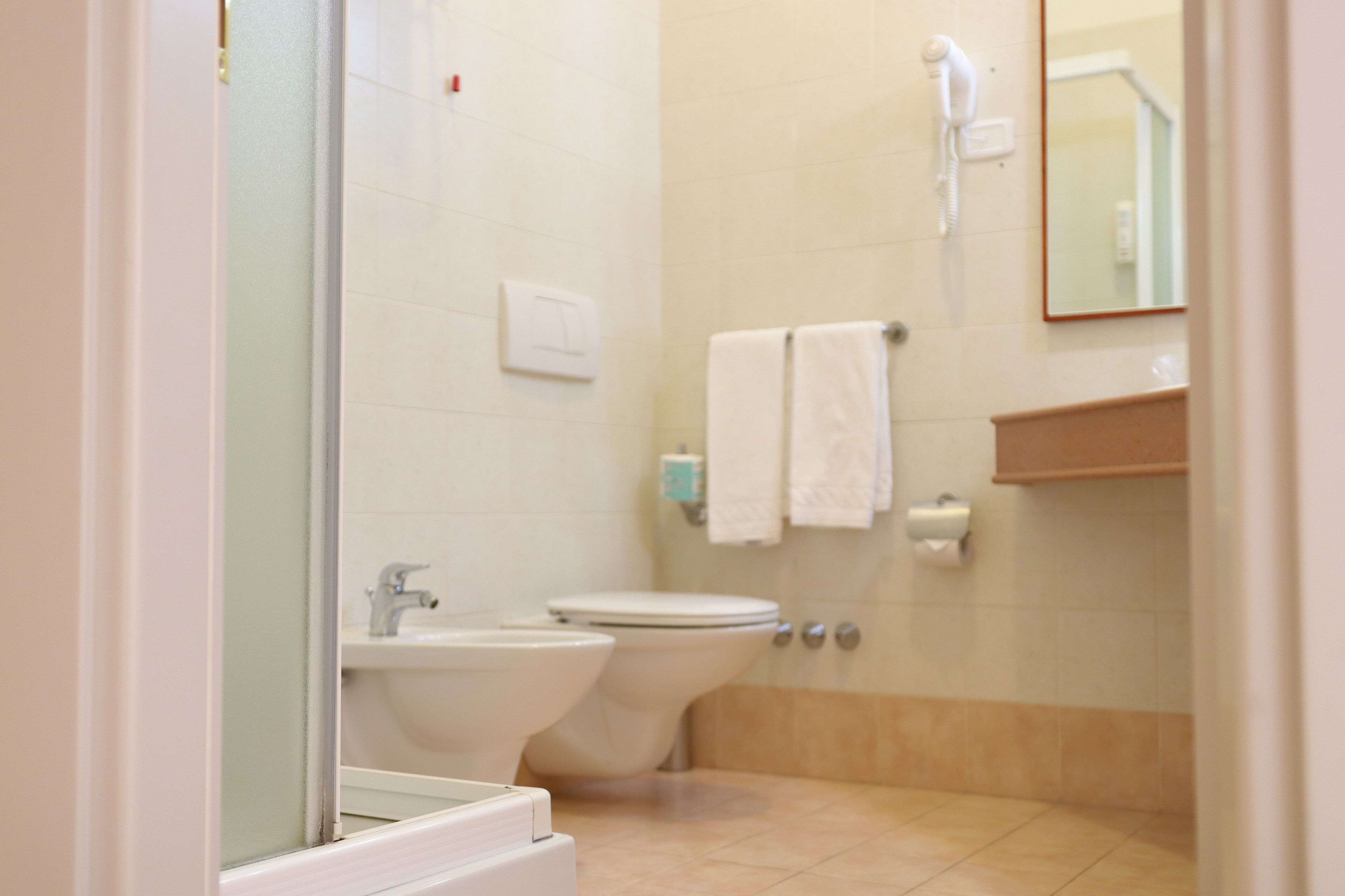 shower, free toiletries, hair dryer, bidet