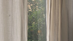 A view through a window with sheer curtains, revealing a balcony with a railing and lush green foliage. - Ibaia Et Arramak (San Sebastián)