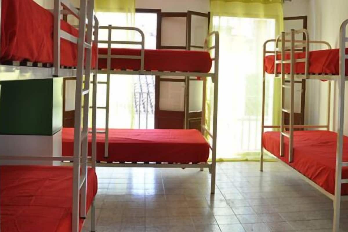Wi-Fi gratuito, accesso in sedia a rotelle
