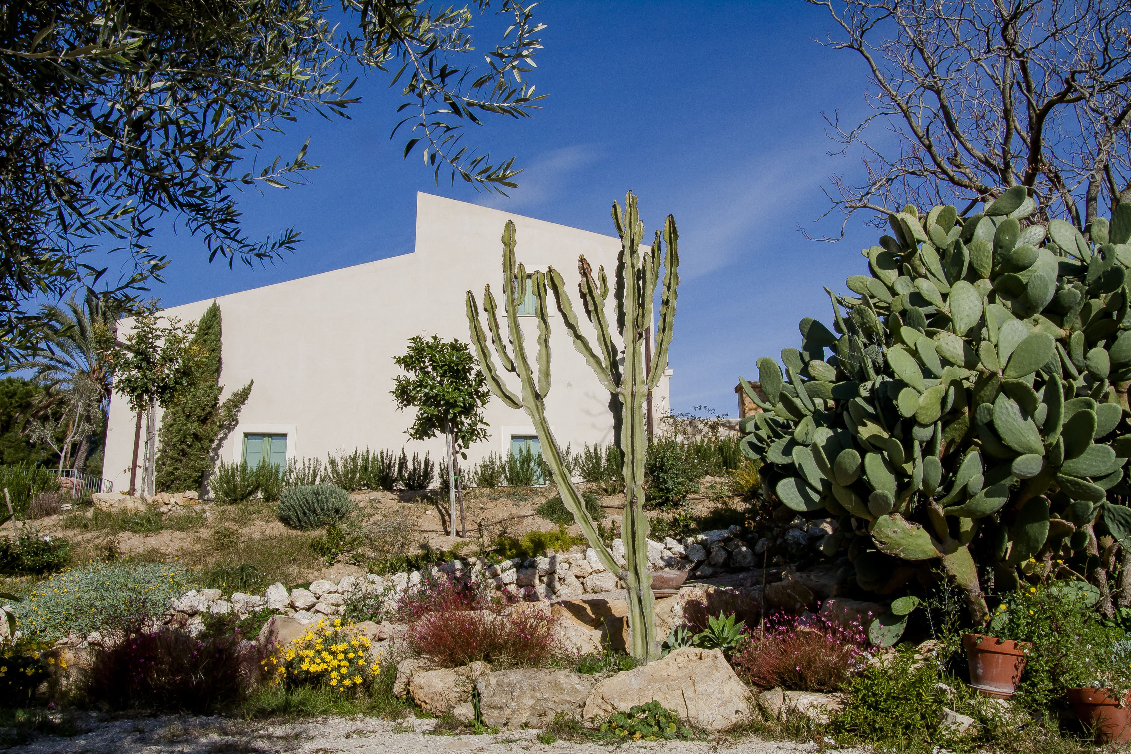 Áreas de la propiedad