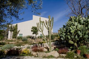 Àrea exterior de l'allotjament