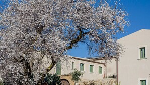 A building with a stone wall, a wooden door, and a window with green shutters. - Fontes Episcopi (Aragona)