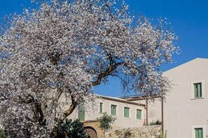 Exterior - Fontes Episcopi (Aragona)