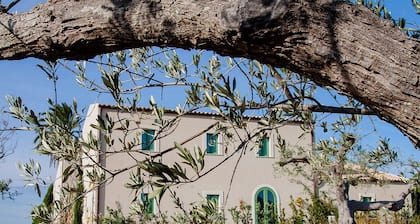 Fontes Episcopi