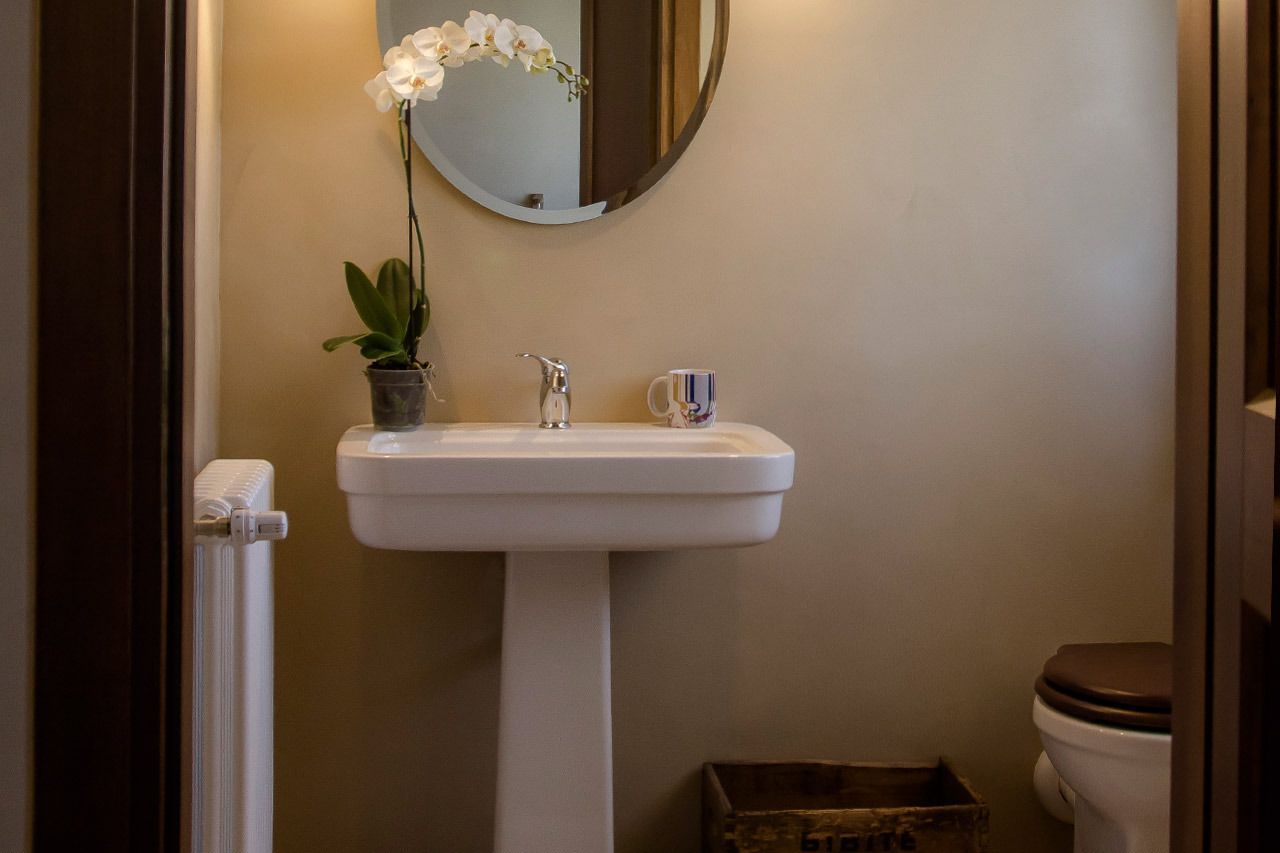 A bathroom with a white sink, a mirror, a potted orchid, and a toilet.