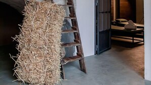 A rustic interior with a loft bed, hay bales, a wooden ladder, and a potted plant. - Fontes Episcopi (Aragona)