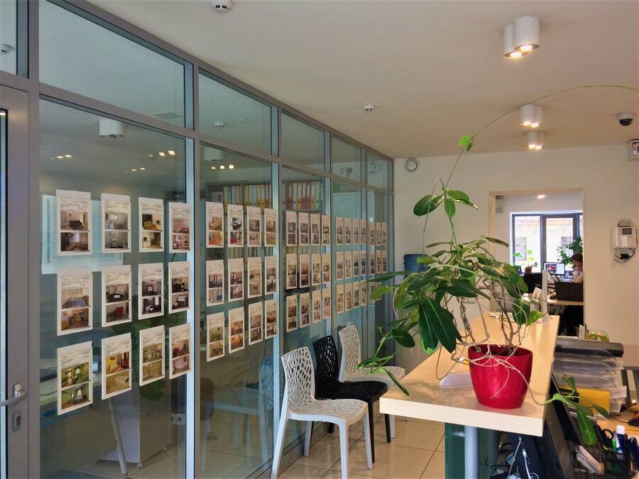 Un espacio de oficina moderno con paredes de vidrio que exhiben fotografías, una silla blanca, una planta en maceta roja y un escritorio con una computadora portátil.