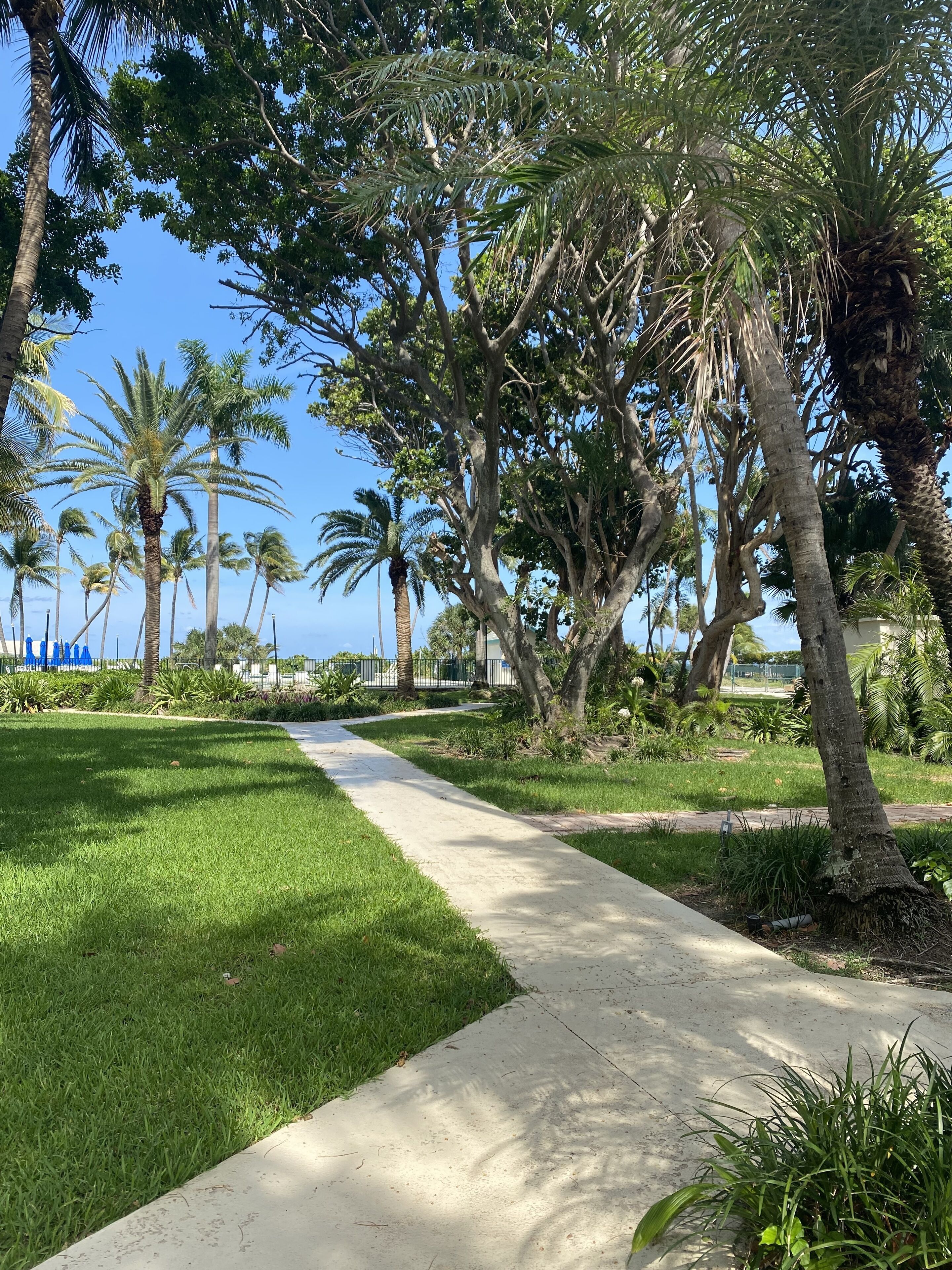 Photo - Silver Sands Beach Resort